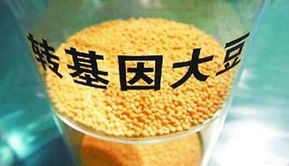 金龍魚陷轉(zhuǎn)基因門風(fēng)波 專家稱安全性尚無(wú)定論，對(duì)酒類經(jīng)營(yíng)有何啟示？